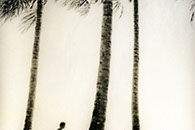 mens fashion photo, Australia, sydney, monochrome, film,